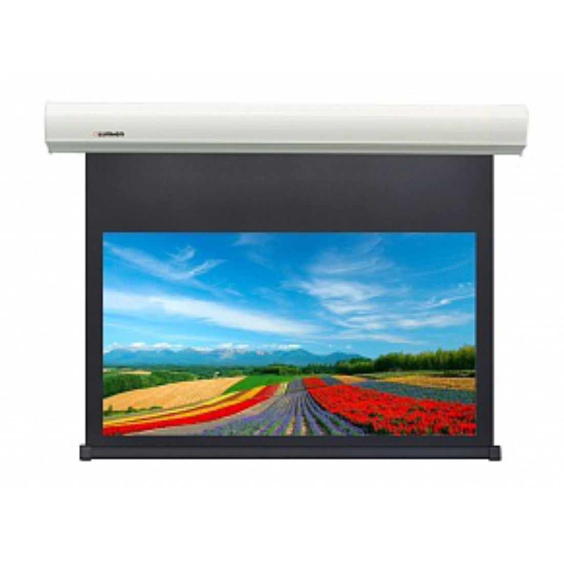 Экран моторизированный Lumien LCC-100115