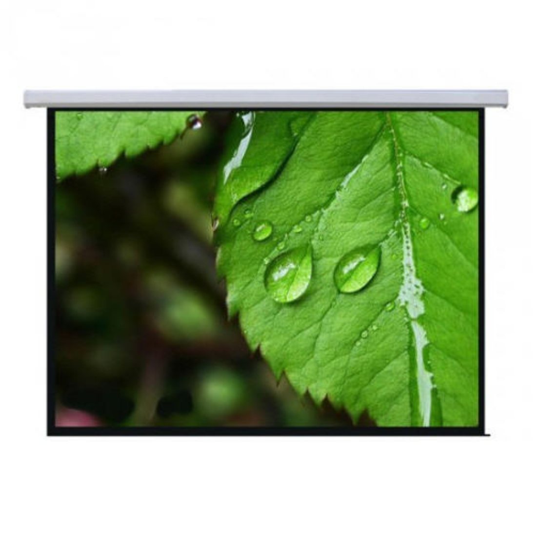 Экран настенный Mr.Pixel MSPSBB135V2